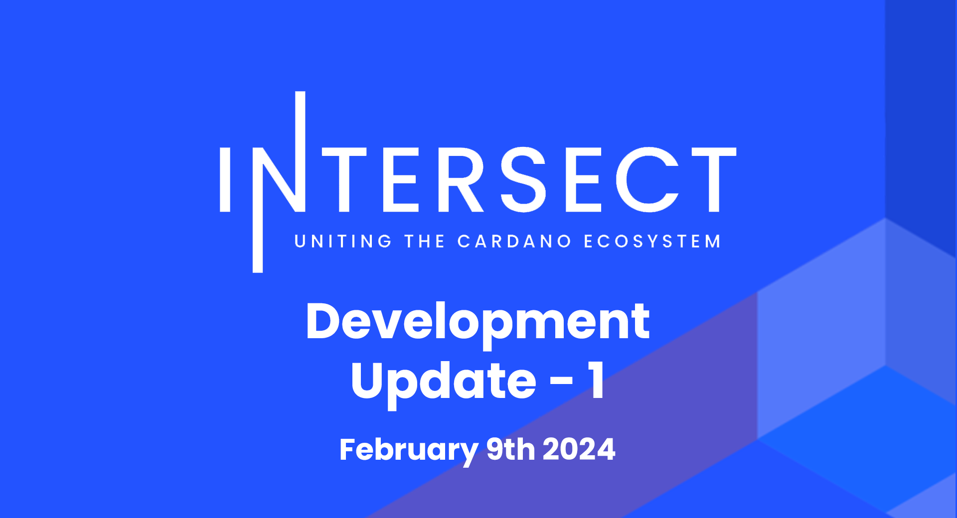 Intersect Development Update #1 - Feb 9th